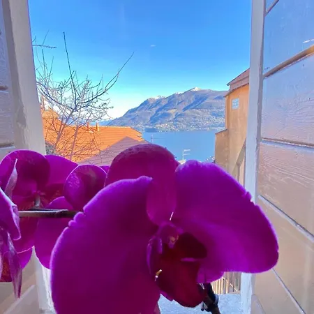 Appartement Casa Spasu