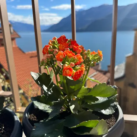 Casa Spasu *