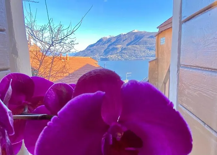 Apartament Casa Spasu