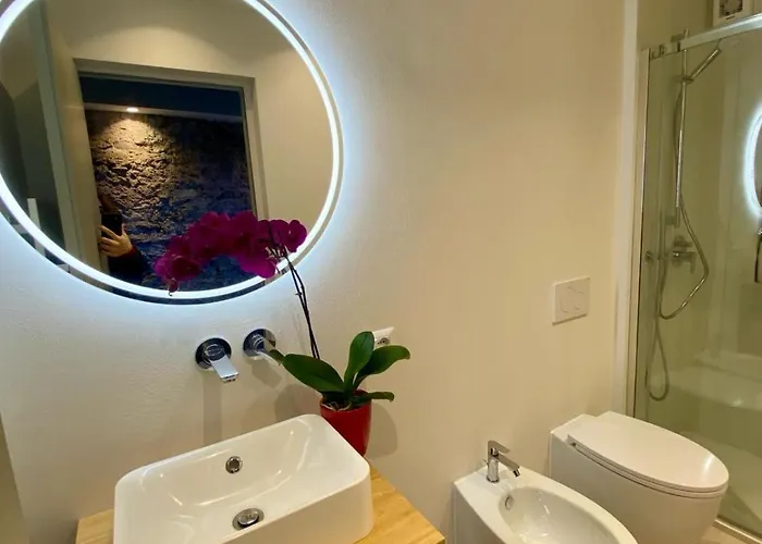 Casa Spasu 아파트