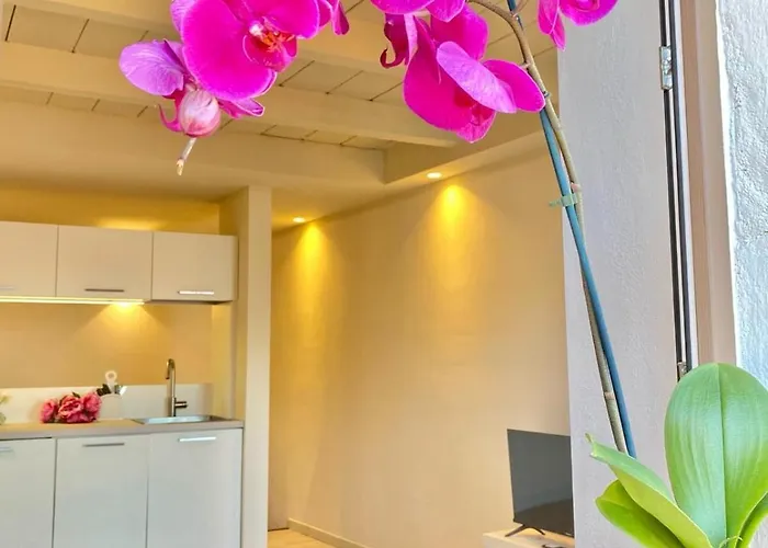 Casa Spasu 아파트 *