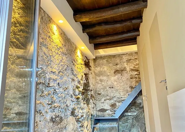 Casa Spasu Apartament