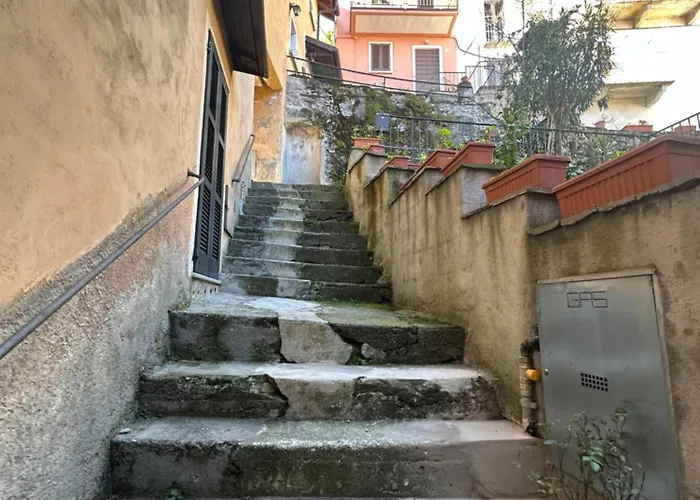 Casa Spasu 아파트